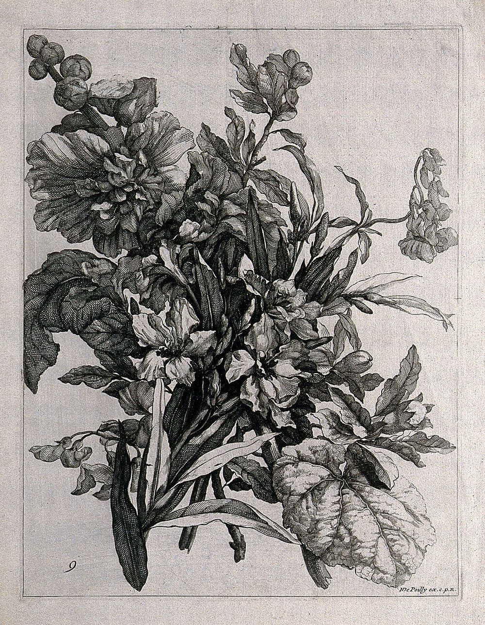 Floral bouquet. Engraving by N. de Poilly, c.1660, after himself.