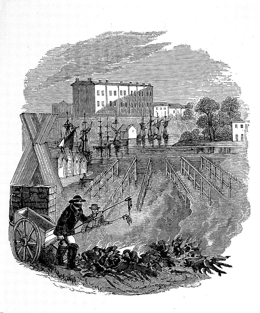 The history of the cholera in Exeter in 1832 / [Thomas Shapter].