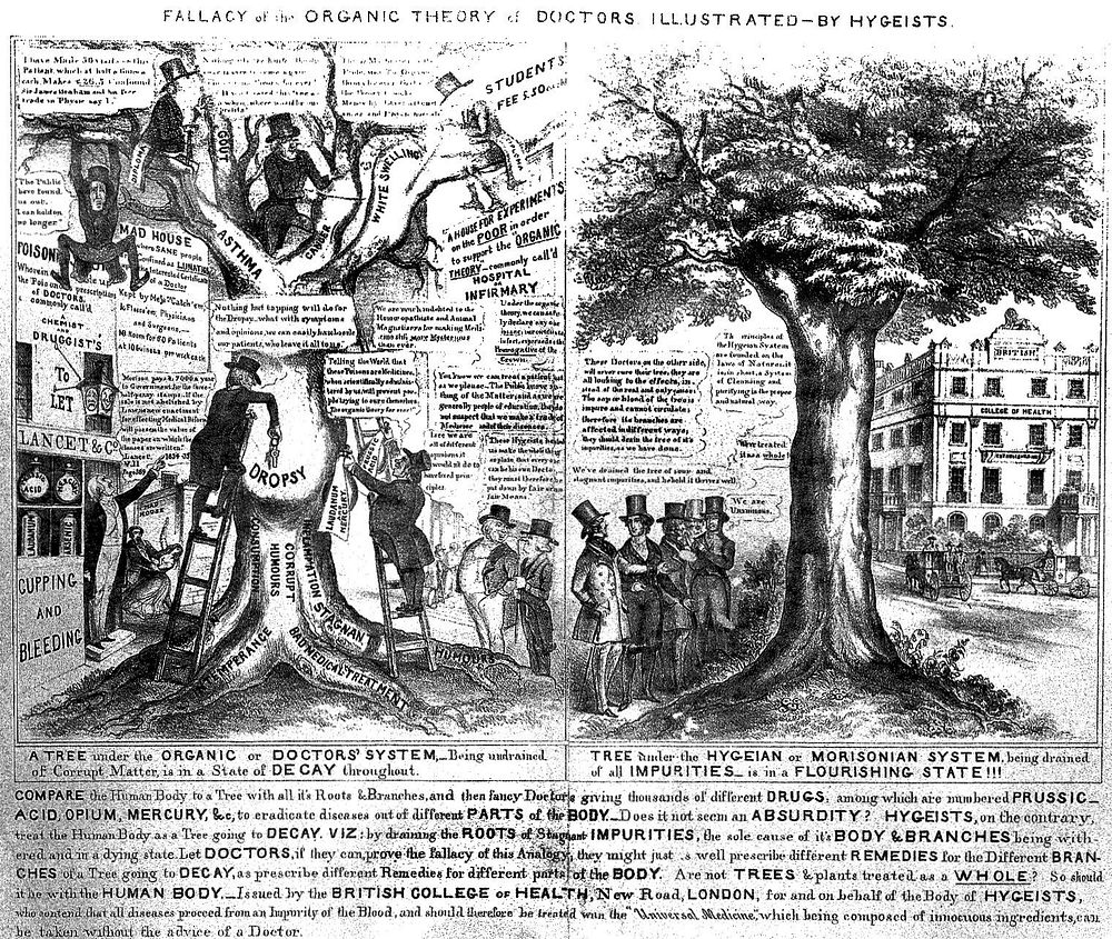 Two trees being cultivated by doctors; symbolising the differences claimed by James Morison between the 'organic' and his…