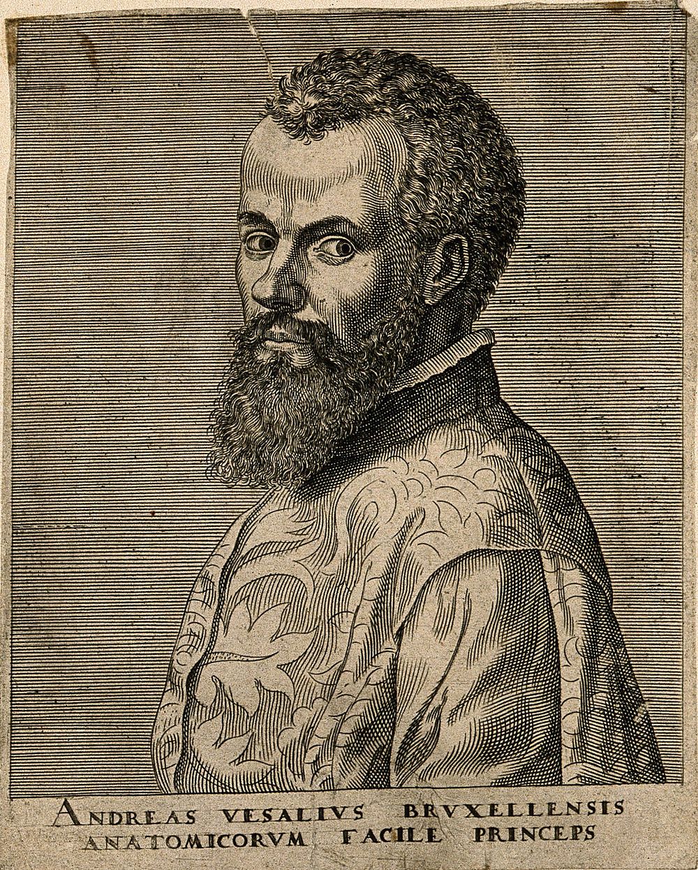 Andreas Vesalius. Line engraving by P. Galle, 1572, after J. S. van Calcar .