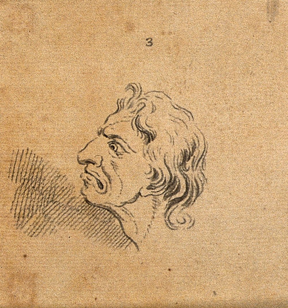Eight physiognomies. Drawings, c. 1789.