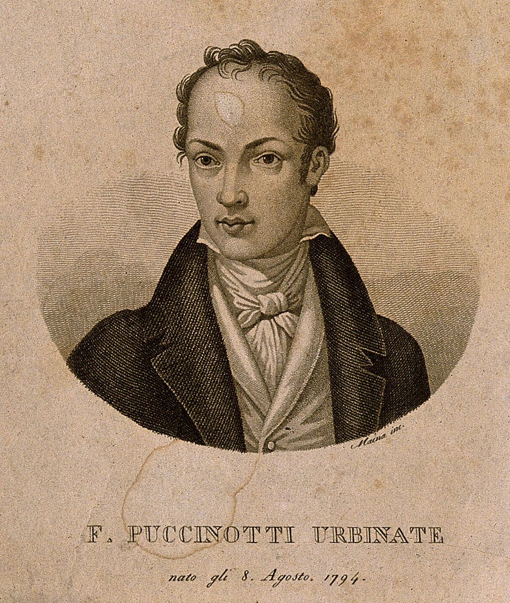 Francesco Puccinotti. Lithograph by G. Castagnola.