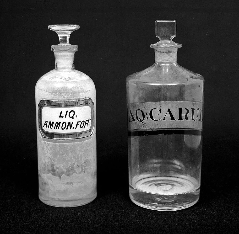 Medicine bottles, 19th century. Recessed gilded label, Varnished gilded label, brown edged.