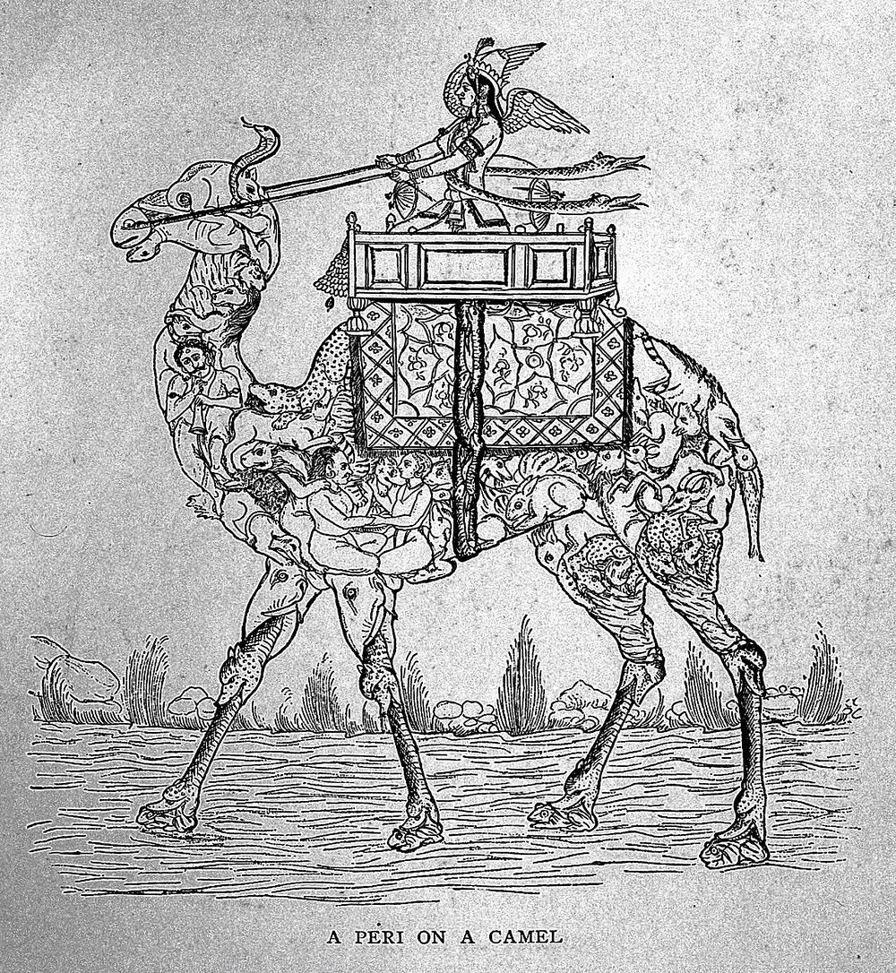 Beast and man in India : a popular sketch of Indian animals in their relations with the people / by John Lockwood Kipling.