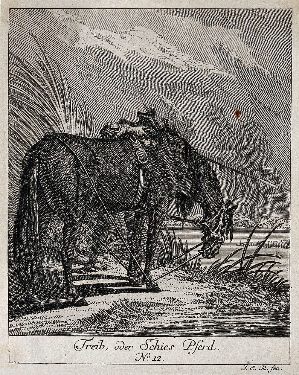 A shooting-horse is standing with its head tied to its hoofs and body near a lake while the huntsman hidden behind the horse…