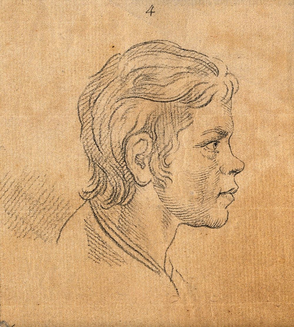 A youth whose physiognomy attests to unrefinability and obstinate weakness. Drawing, c. 1789, after D.N. Chodowiecki.