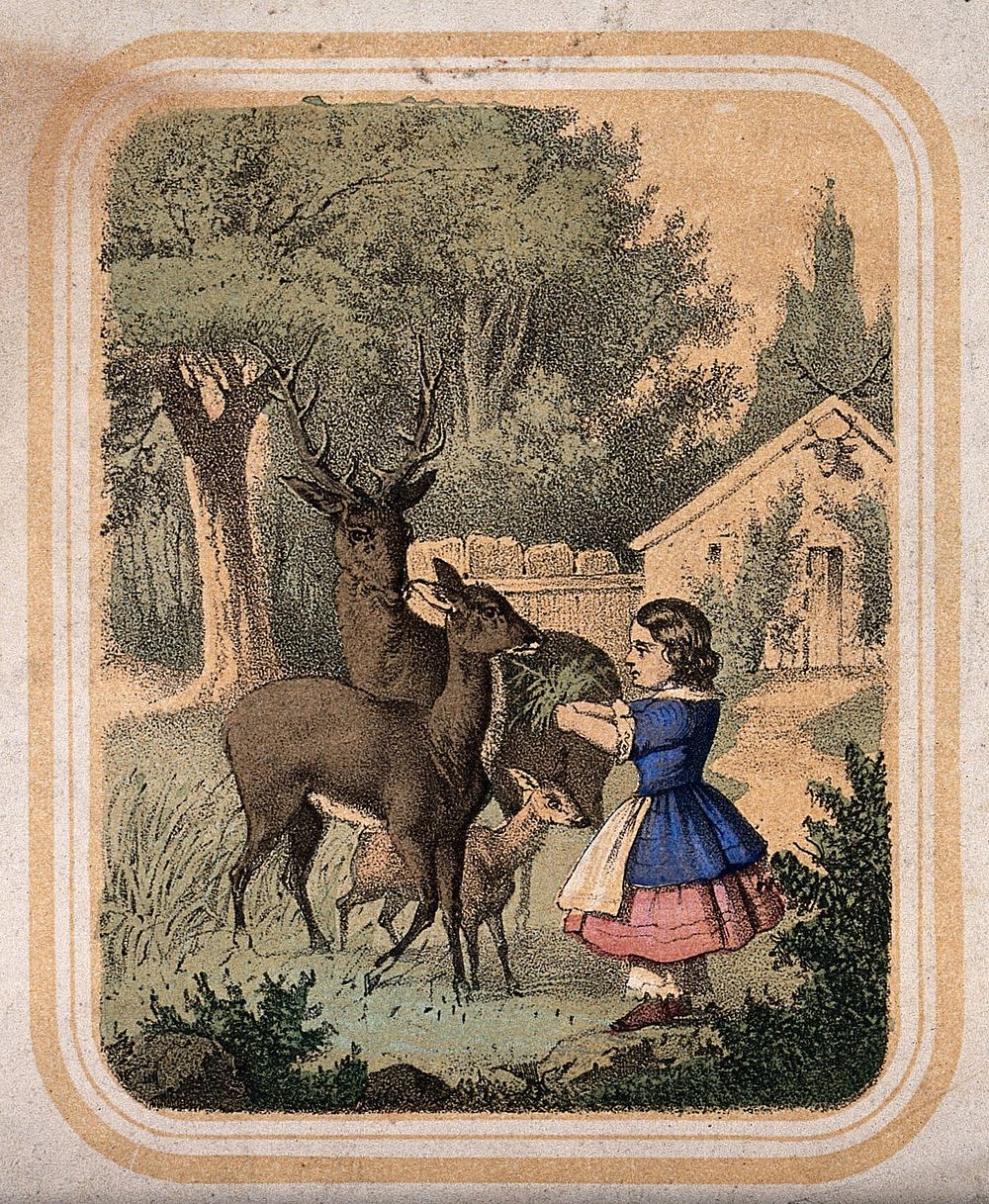A small girl is feeding leaves to deer in a garden outside a cottage. Coloured lithograph.
