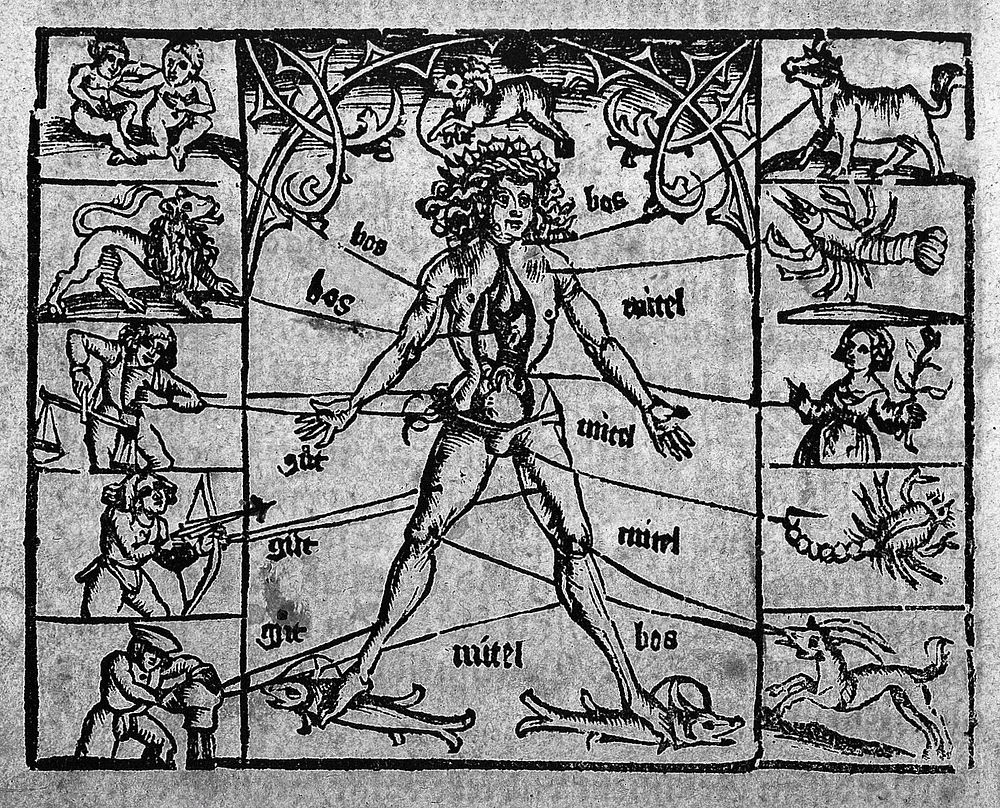 Nätürlicher Kunst der Astronomei, des weitberümpten M. Johannem Künigspergers, kurtzer Begriff. Von natürlichem Influsz der…