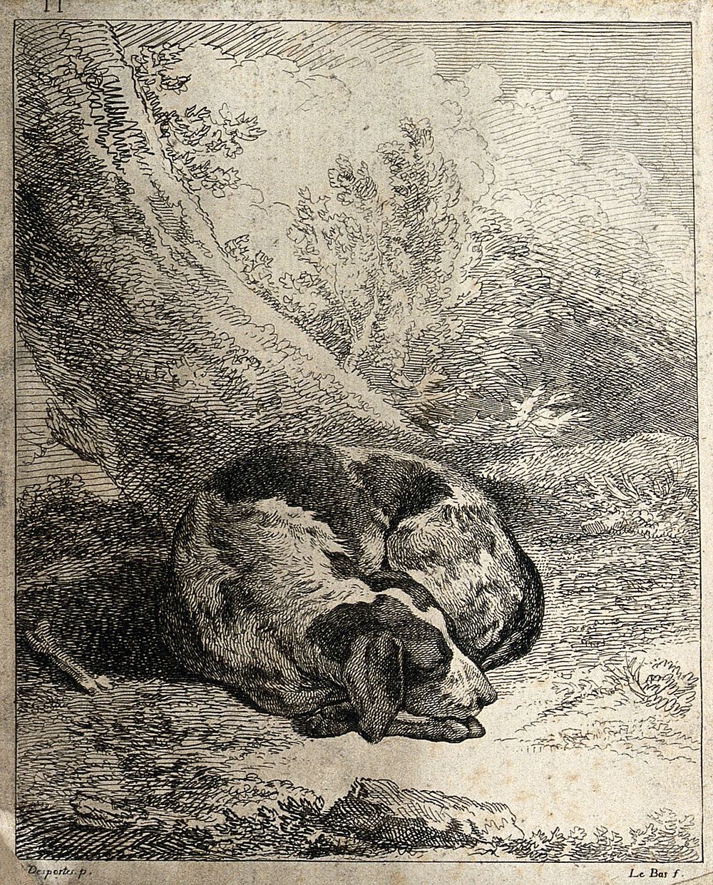 A dog curled up and asleep under a tree. Etching by J.P. Le Bas after A.F. Desportes.