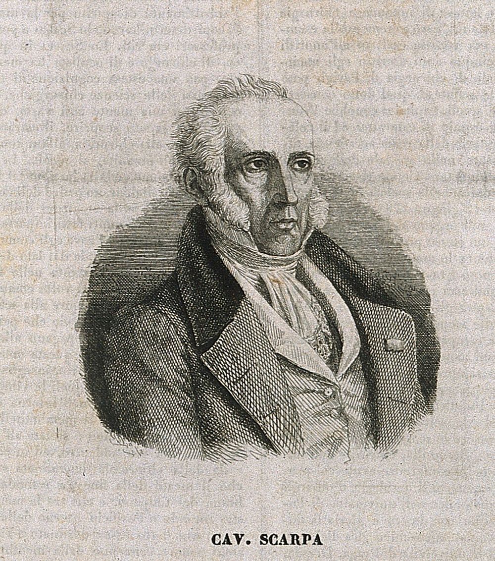 Antonio Scarpa. Line engraving. Free Photo Illustration rawpixel