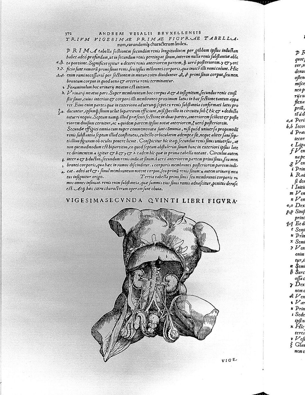 A. Vesalius, De humani corporis fabrica,