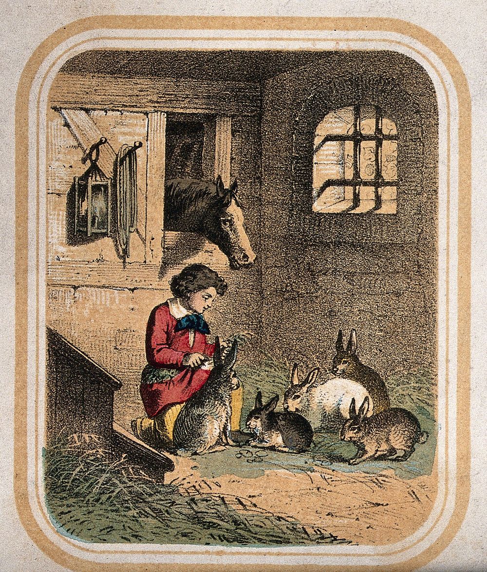 A boy sits in a stable with five rabbits and a horse looks over the stable door. Coloured lithograph.