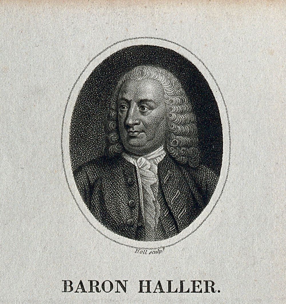 Baron Albrecht von Haller. Stipple engraving by Holl.