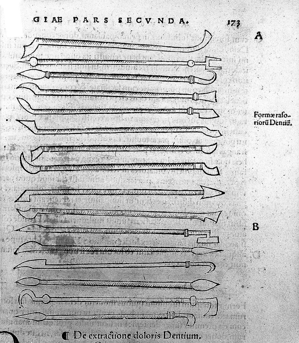 Dental instruments, from 'Chirurgia'