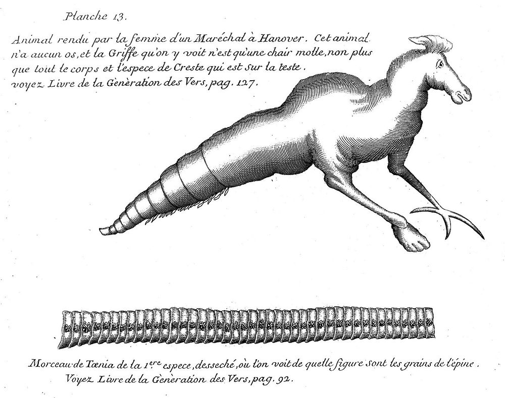 Andry de Boisregard, fanciful animal, Vers Solitaires 1718