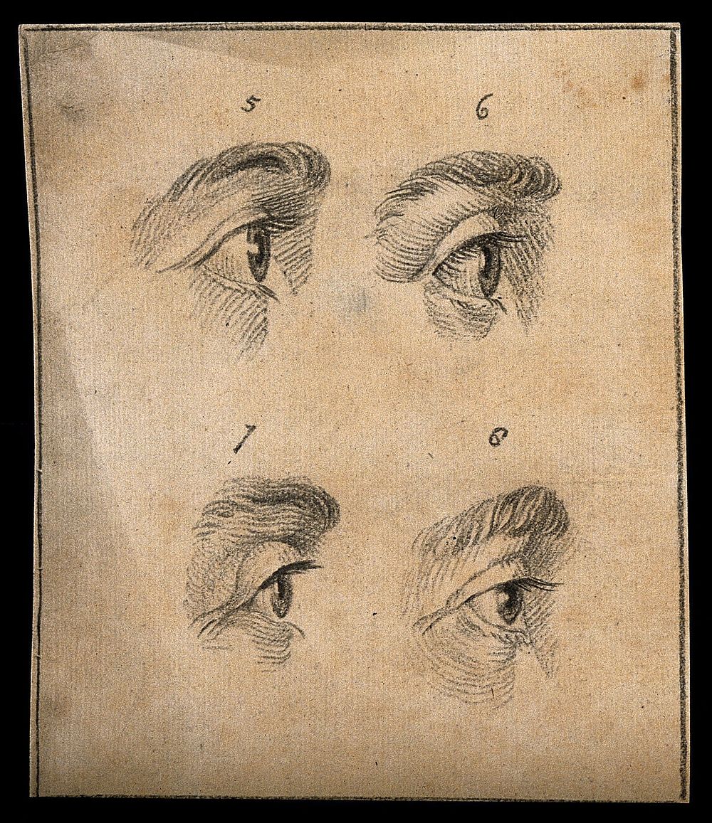 Four eyes. Drawing, c. 1794.
