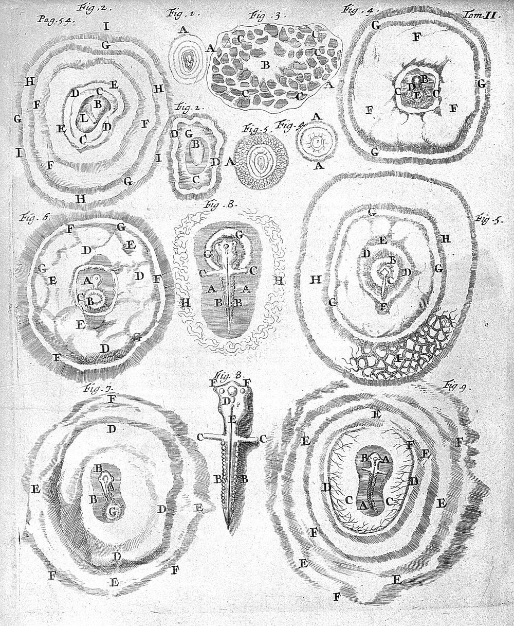 Opera omnia, figuris elegantissimis in aes incisis illustrata : Tomis duobus comprehensa. Quorum catalogum sequens pagina…