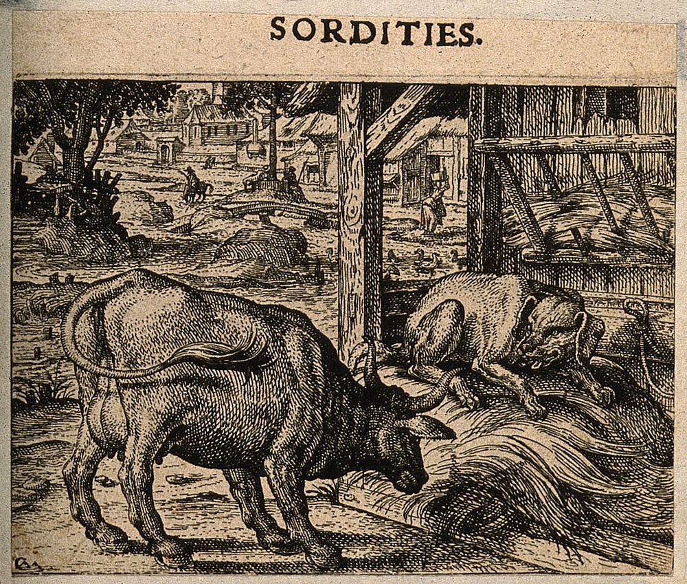 A dog resting on a bull's straw; representing Aesop's fable. Etching by C. Murer after himself, c. 1600-1614.