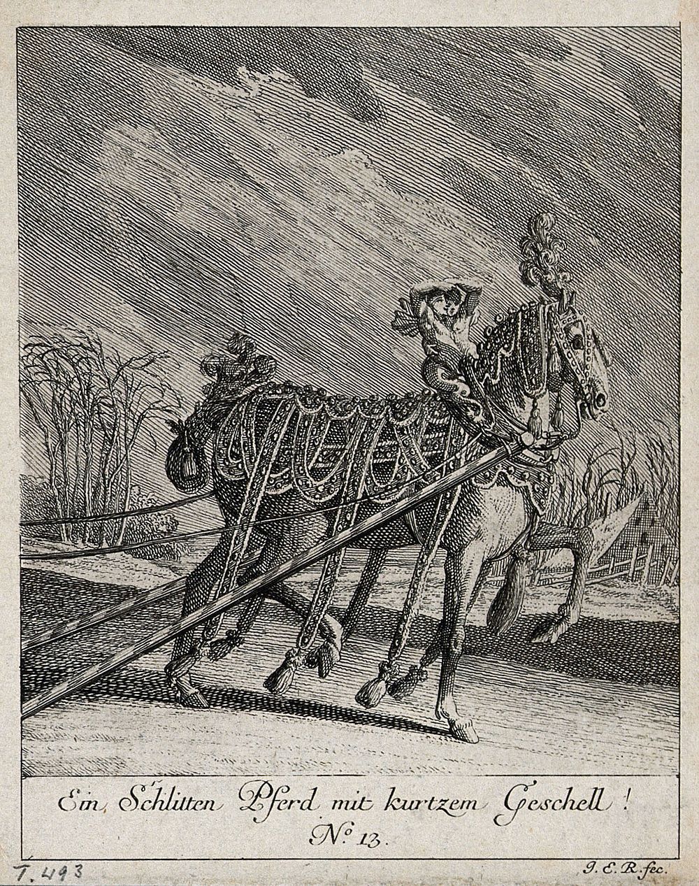 A sleigh-horse with an elaborately ornamented harness. Etching by J. E. Ridinger.