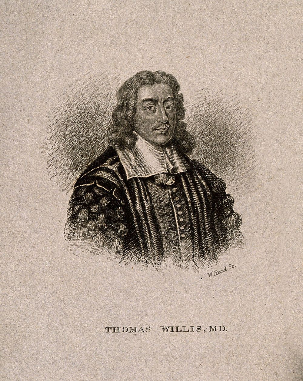 Thomas Willis. Line engraving by W. Read after D. Loggan.