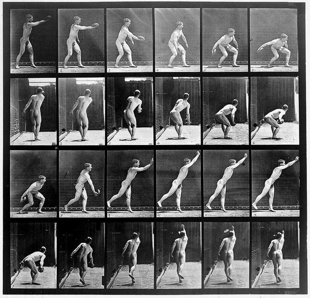 E. Muybridge "Animal locomotion", plate