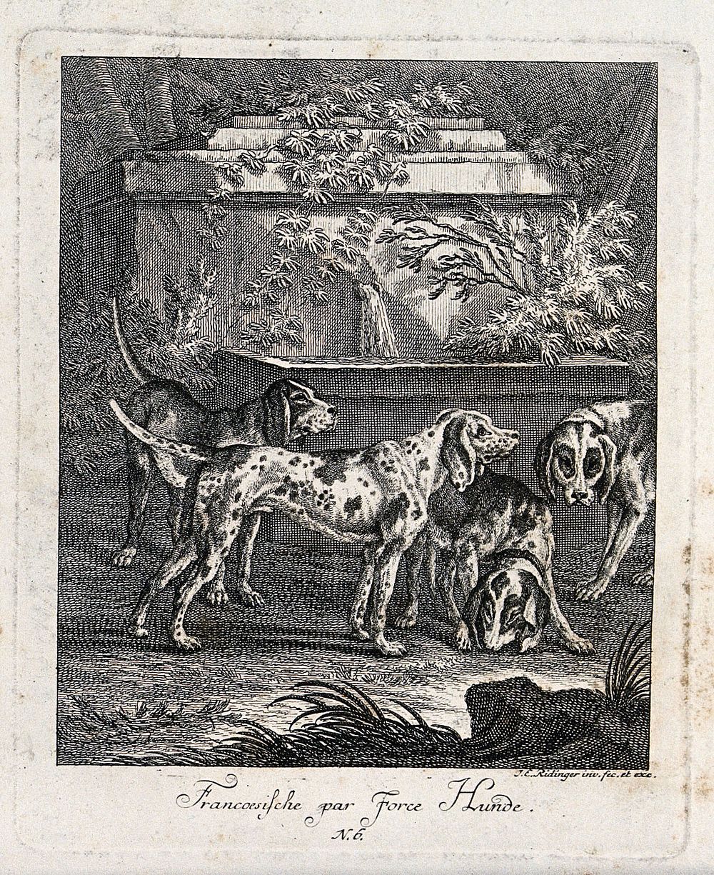 Four French par-force dogs in front of an overgrown water fountain. Etching by J. E. Ridinger.