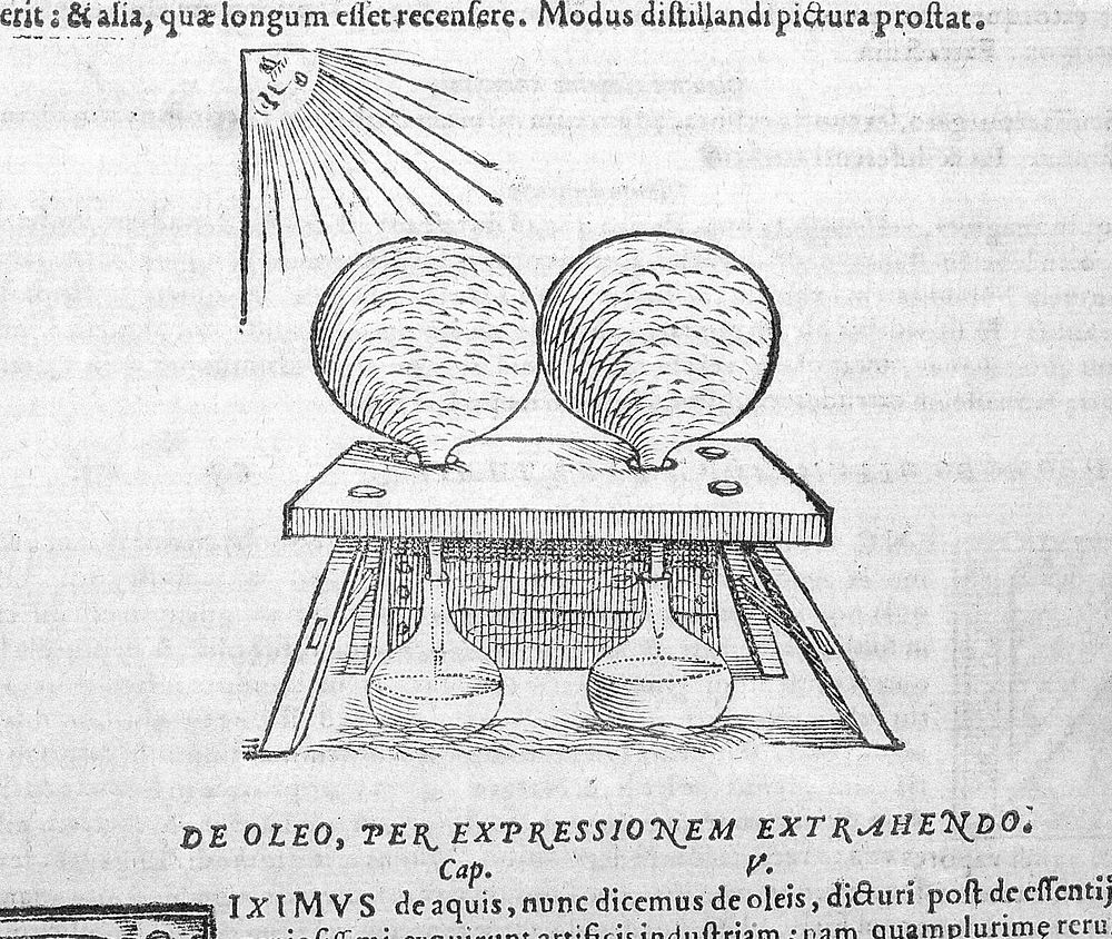 Magiae naturalis libri viginti / Ab ipso authore expurgati, & superaucti, in quibus scientiarum naturalium divitiae, &…