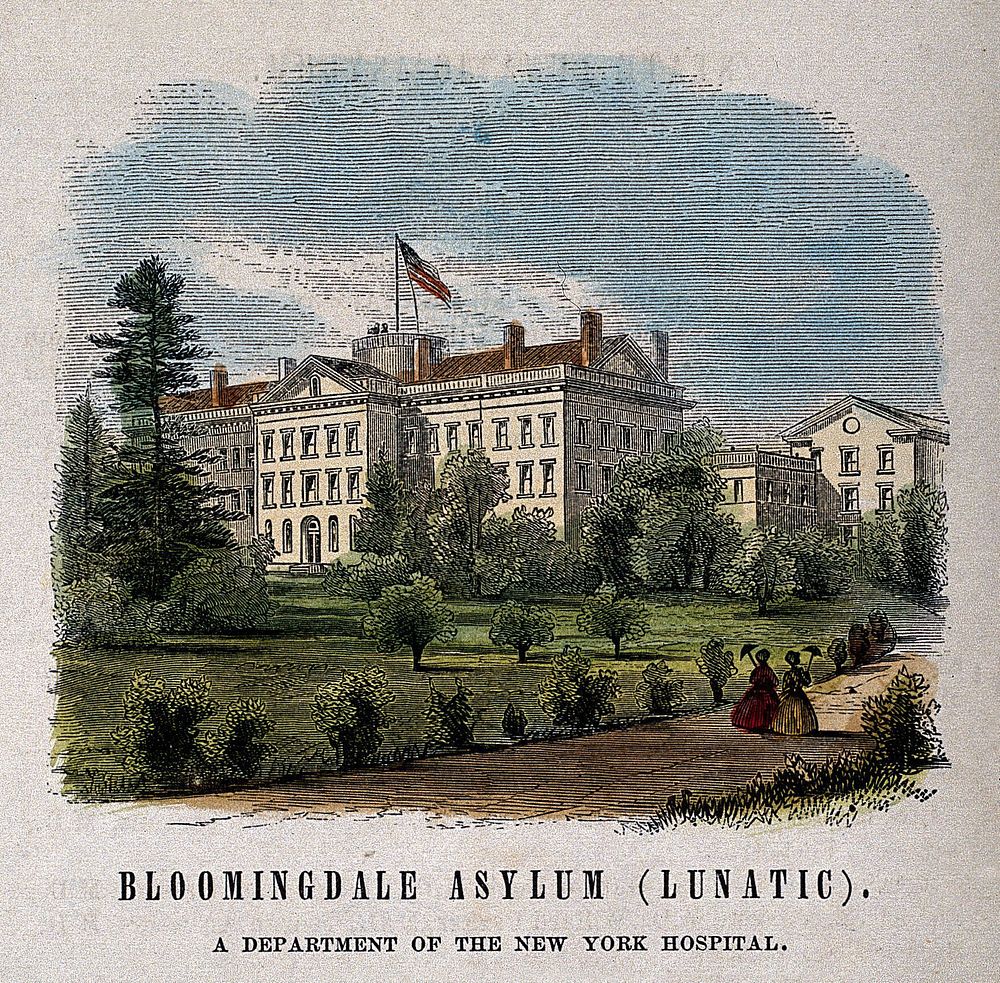 Bloomingdale Asylum, New York. Coloured wood engraving.