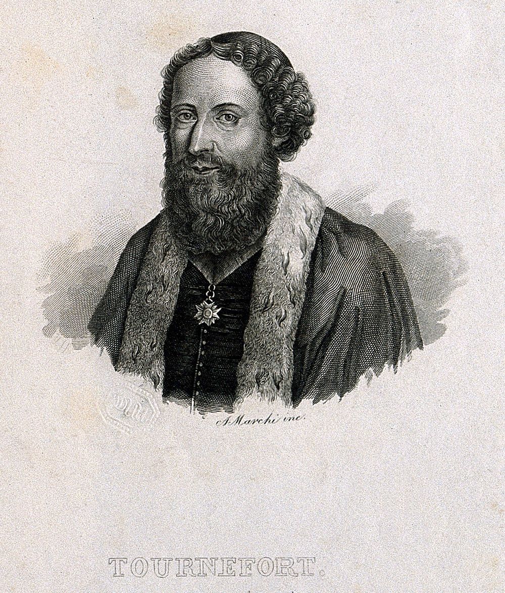 Joseph Pitton de Tournefort. Line engraving by A. Marchi.