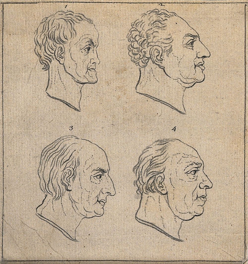 Four physiognomic profiles: clockwise from top left: a timid man, a man of good taste, a prudent observer, and a sensualist.…