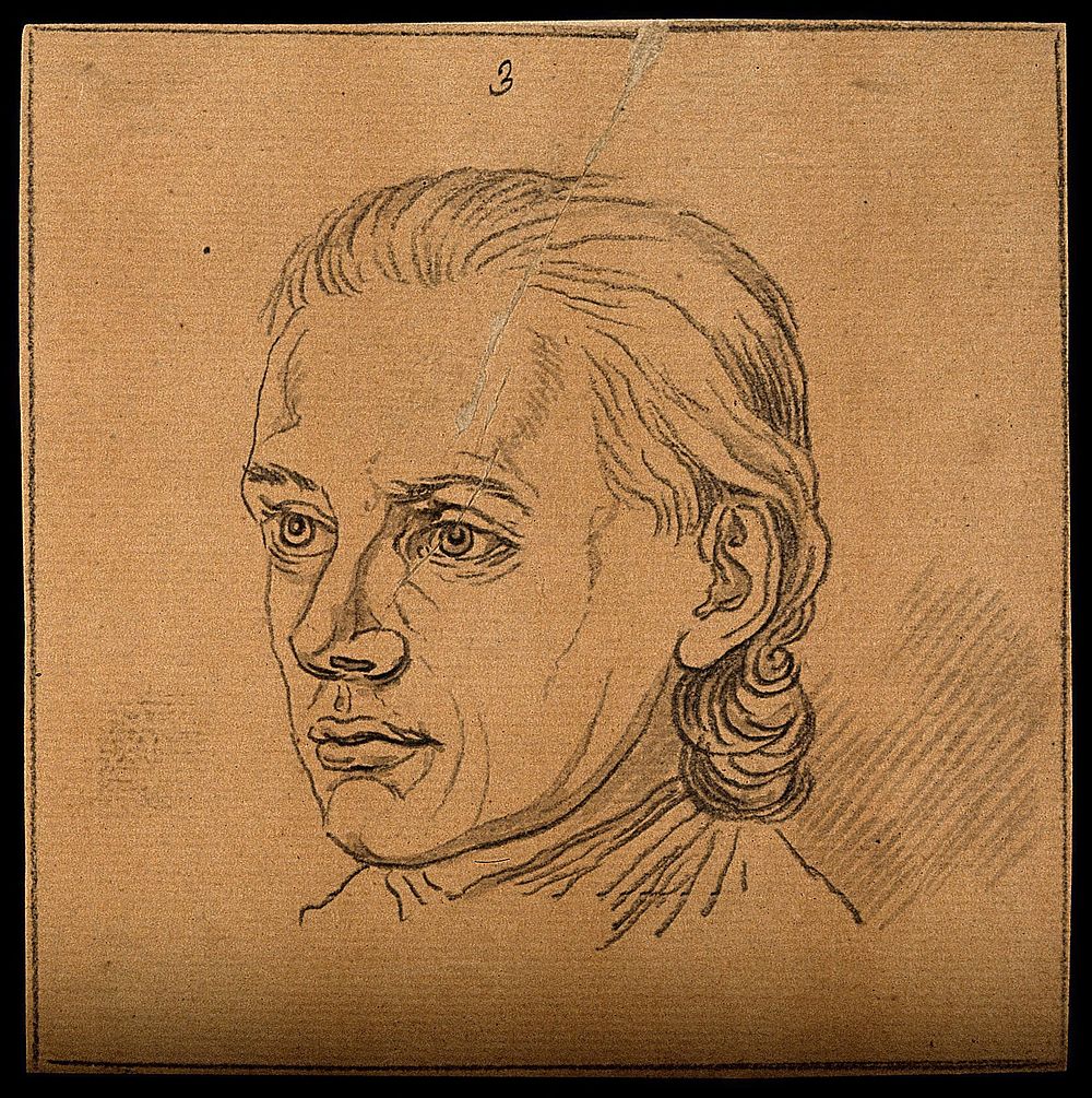 Head of a man whose physiognomy shows prudence and ingenuity. Drawing, c. 1794.
