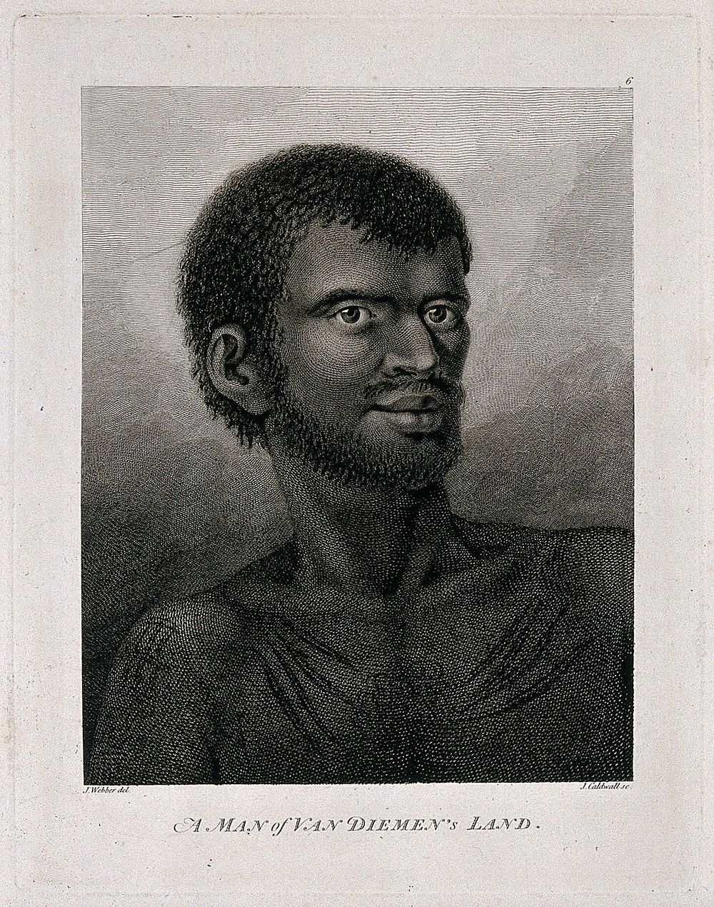 A man of Van Diemen's Land (Tasmania) encountered by Captain Cook during his third voyage, 1776-1780. Engraving by J.…