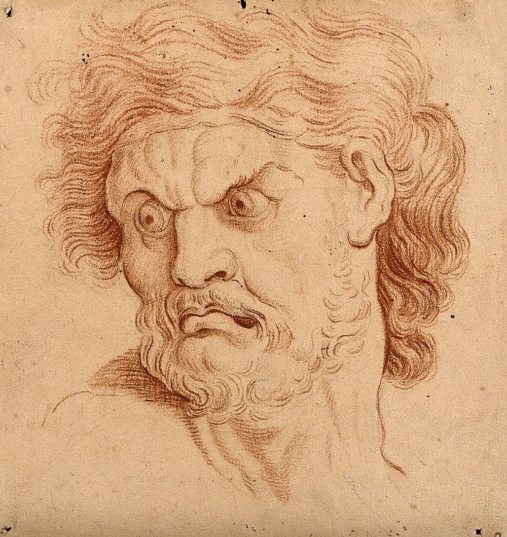 The face of an angry man. Drawing, 18th century , after C. Le Brun.