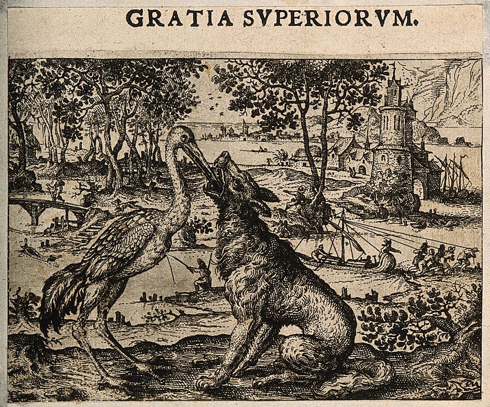 A crane inserts its beak into the mouth of a wolf; illustrating Aesop's fable. Etching by C. Murer after himself, c. 1600…