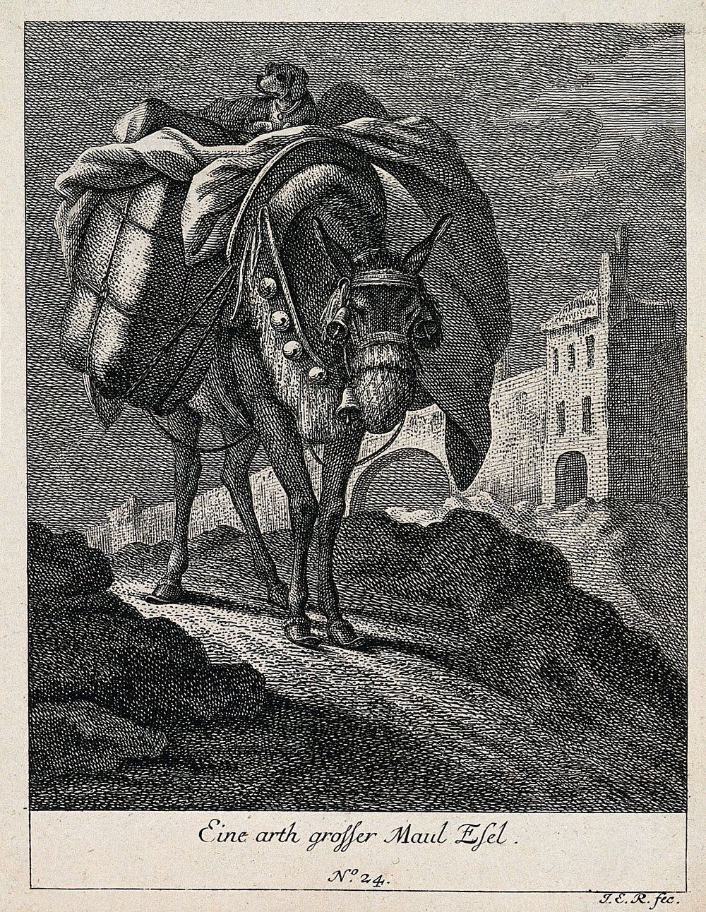 A large mule carrying a load with a dog on top is walking on a rocky path with a town in the background. Etching by J. E.…
