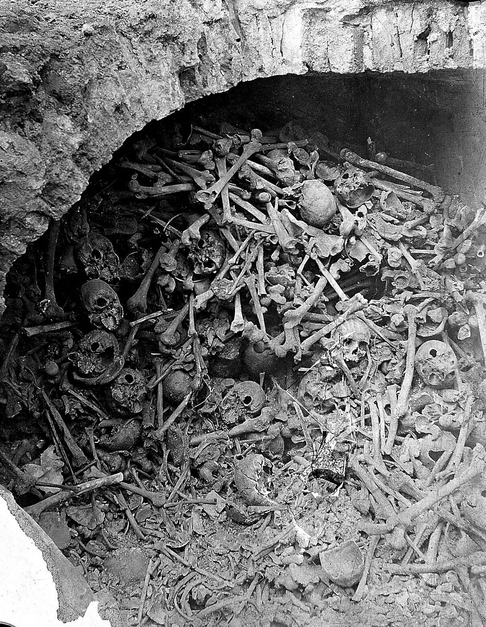 Human bones and skulls in a brick-built pit. Photograph.