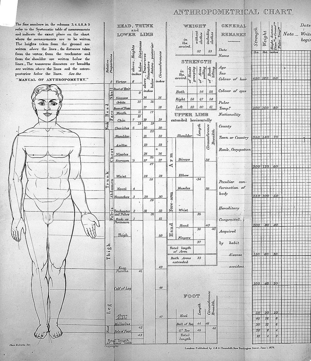 A manual of anthropometry, or, A guide to the physical examination and measurement of the human body : containing a…