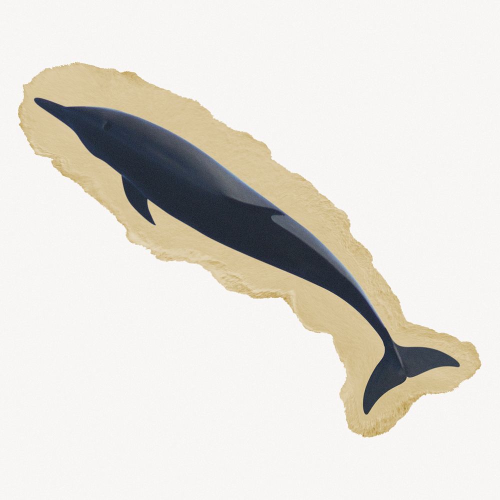 Dolphin, sea animal ripped paper design