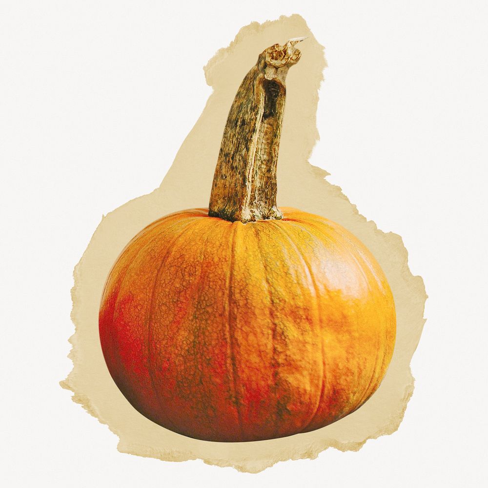Pumpkin, autumn fruit, torn paper design