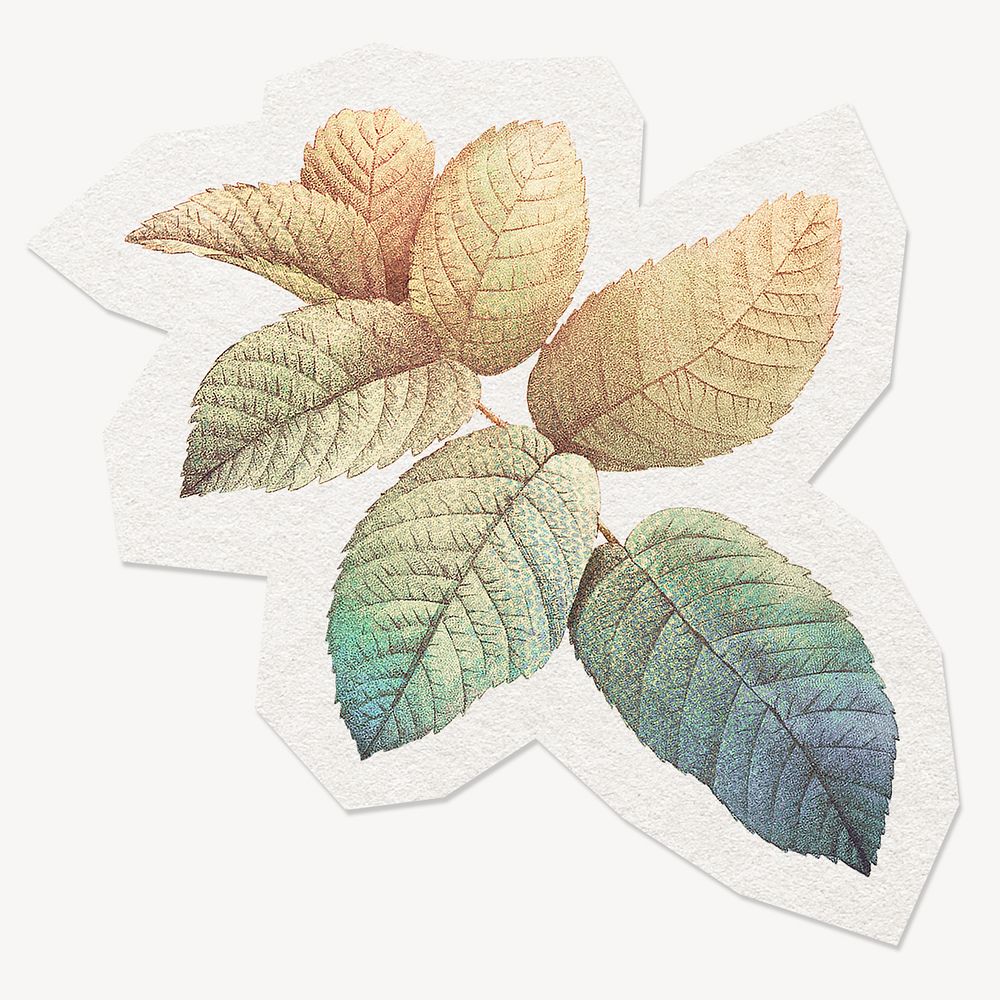 Aesthetic leaves sticker collage element, paper craft clipart