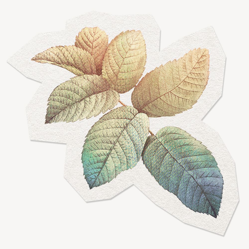 Aesthetic leaves sticker collage element, Premium Photo rawpixel