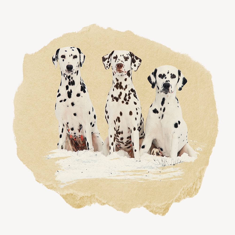 Dalmatian dogs, ripped paper collage element