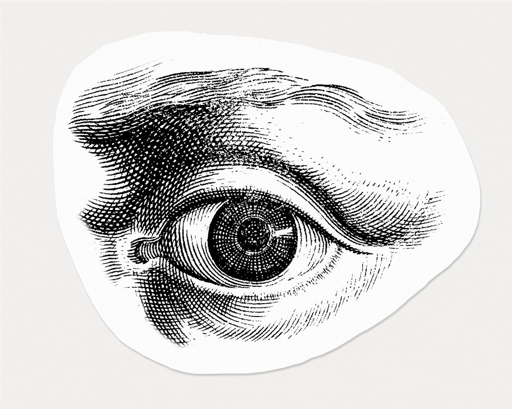 Human eye, monochrome, drawing illustration