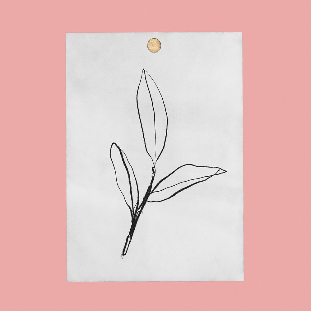 Pinned botanical poster, leaf illustration