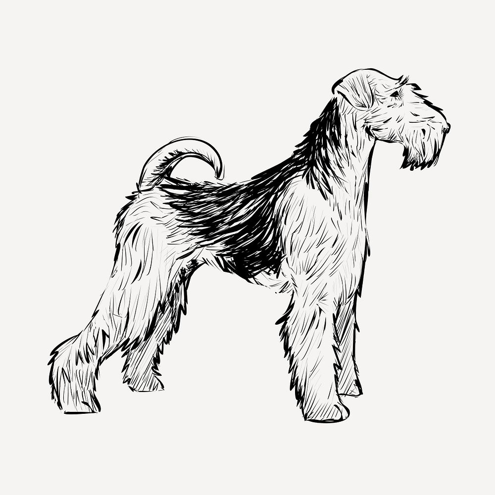Airedale Terrier animal illustration vector