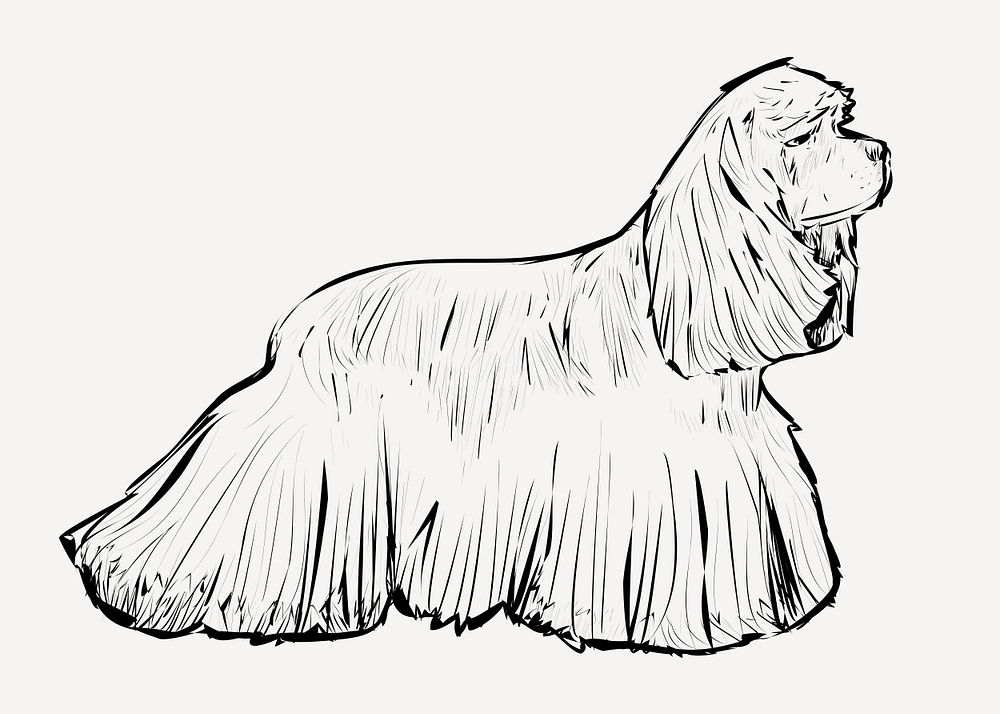 Spaniel dog animal illustration vector