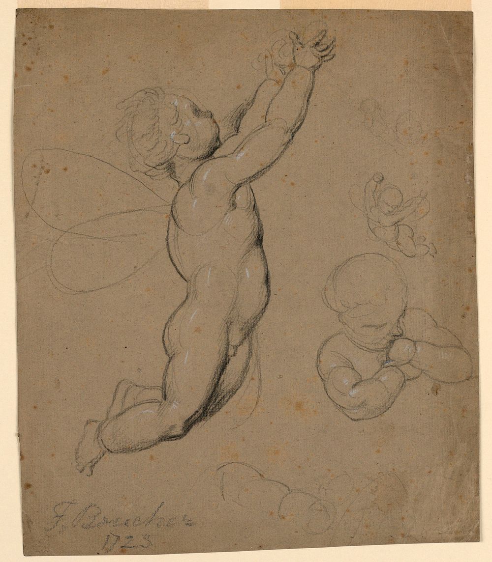 Studies of putti by François Boucher