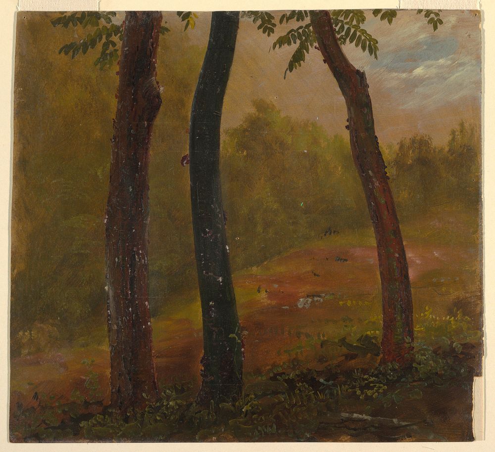 Woodland Scene, Jamaica by Frederic Edwin Church, American, 1826–1900