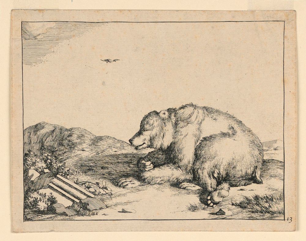 Recumbent Bear, from a Set of Sixteen Views of Bears, Marcus de Bye