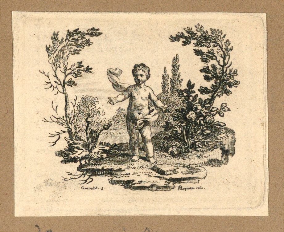 A Boy Standing Between a Thistle Plant and a Rose Bush, Gravelot